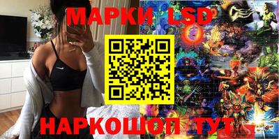 mdpv Заводоуковск